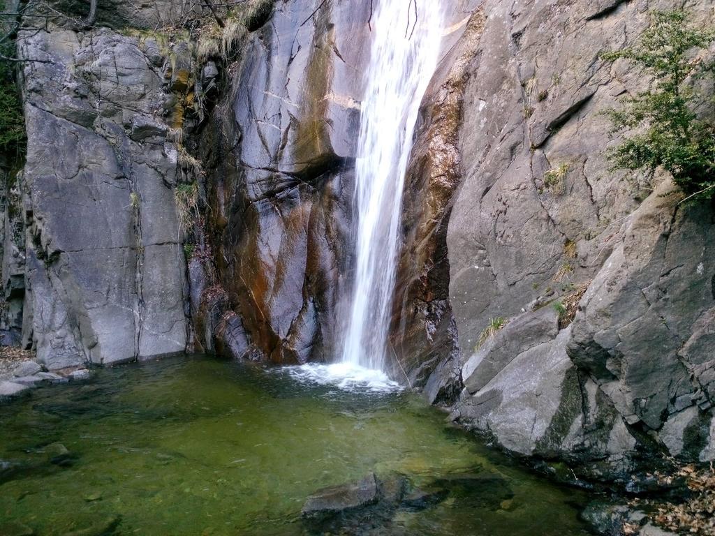 Pensión Fonda Vilalta Ribes De Freser Exterior foto